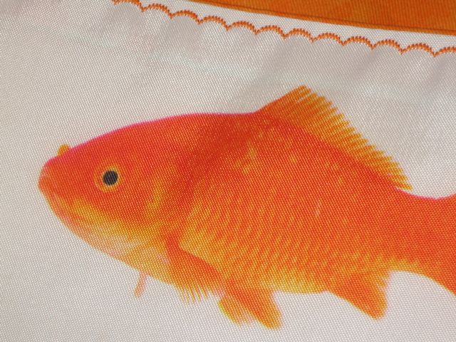 fische5.jpg